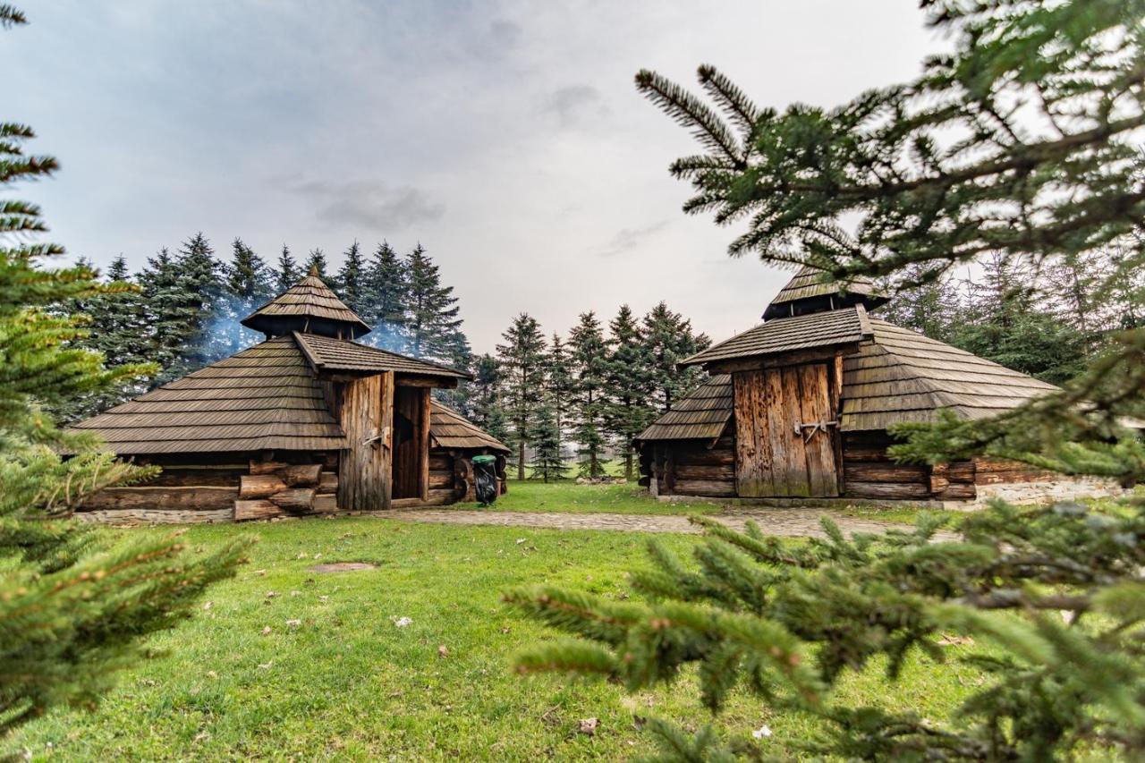 Dom Sportowca Blonie - Mosir Sanok Exterior foto